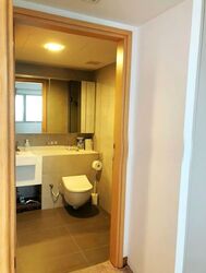 Eight Riversuites (D12), Condominium #584536521